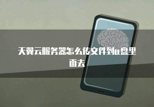 天翼云服务器怎么传文件到u盘里面去