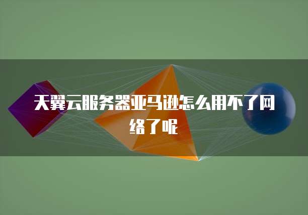 天翼云服务器亚马逊怎么用不了网络了呢