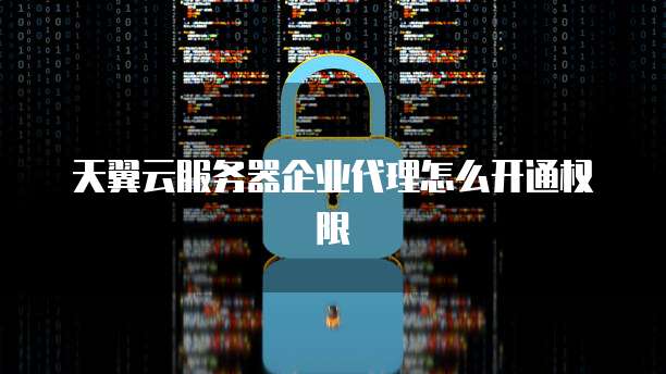 天翼云服务器企业代理怎么开通权限