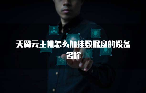 天翼云主机怎么加挂数据盘的设备名称