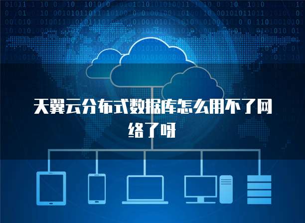 天翼云分布式数据库怎么用不了网络了呀