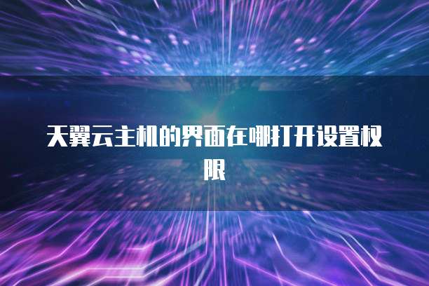 天翼云主机的界面在哪打开设置权限