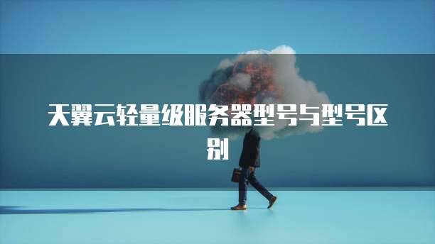 天翼云轻量级服务器型号与型号区别