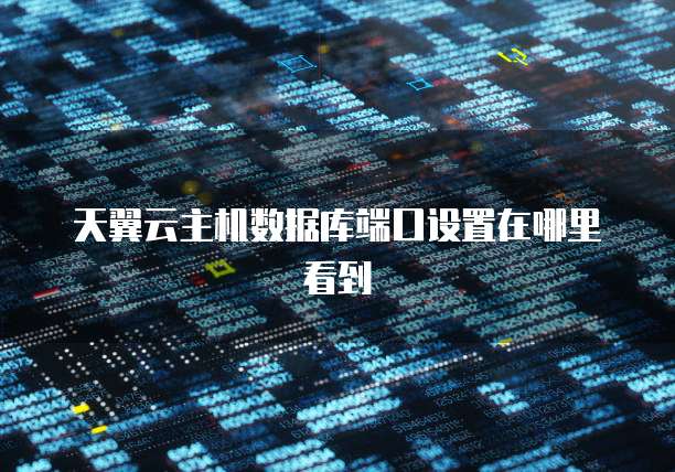 天翼云主机数据库端口设置在哪里看到