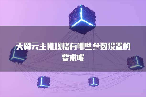 天翼云主机规格有哪些参数设置的要求呢