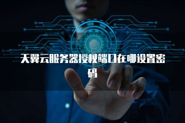 天翼云服务器授权端口在哪设置密码