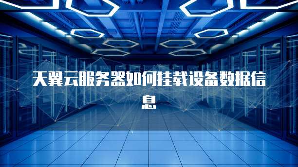 天翼云服务器如何挂载设备数据信息
