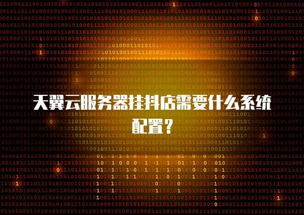 天翼云服务器挂抖店需要什么系统配置？