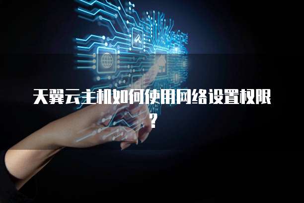 天翼云主机如何使用网络设置权限？