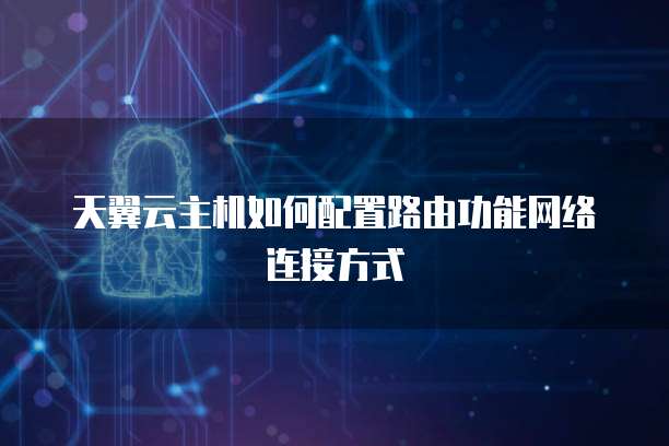 天翼云主机如何配置路由功能网络连接方式