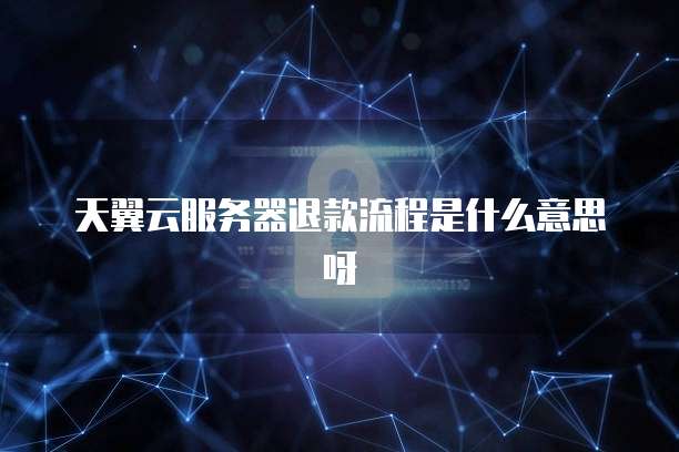 天翼云服务器退款流程是什么意思呀