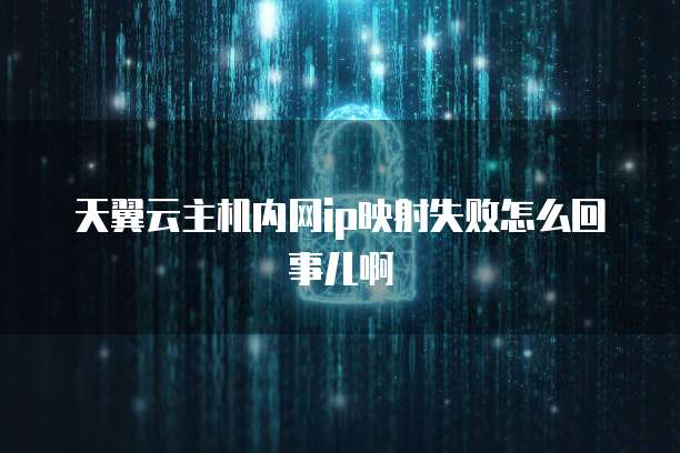 天翼云主机内网ip映射失败怎么回事儿啊