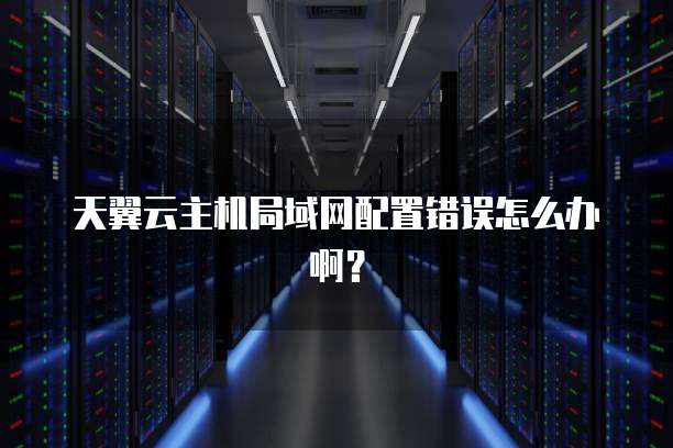 天翼云主机局域网配置错误怎么办啊？