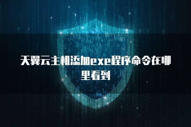 天翼云主机添加exe程序命令在哪里看到
