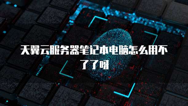 天翼云服务器笔记本电脑怎么用不了了呀