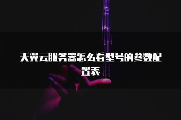 天翼云服务器怎么看型号的参数配置表