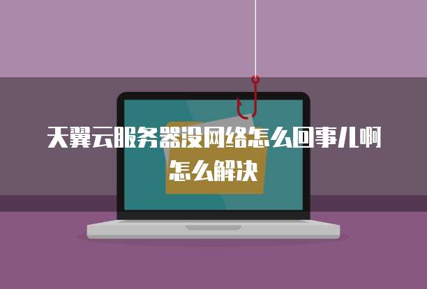 天翼云服务器没网络怎么回事儿啊怎么解决
