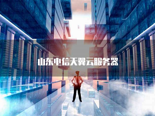 山东电信天翼云服务器
