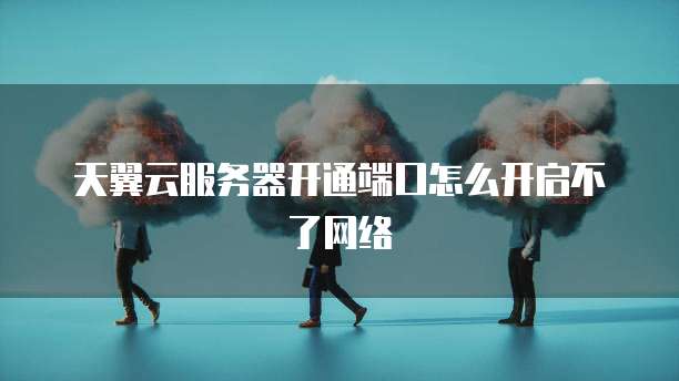 天翼云服务器开通端口怎么开启不了网络