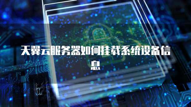 天翼云服务器如何挂载系统设备信息