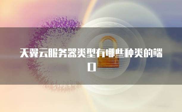 天翼云服务器类型有哪些种类的端口