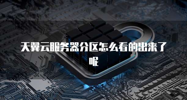 天翼云服务器分区怎么看的出来了呢