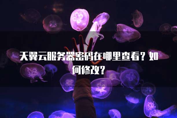天翼云服务器密码在哪里查看？如何修改？
