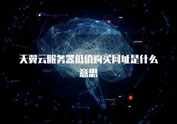 天翼云服务器低价购买网址是什么意思
