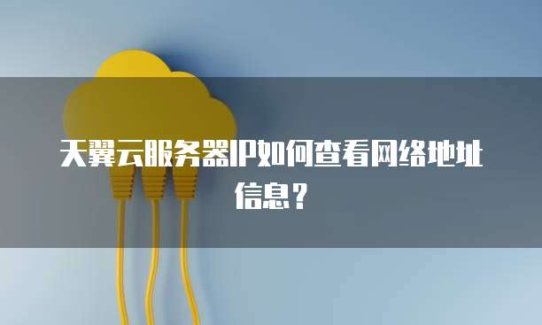 天翼云服务器IP如何查看网络地址信息？
