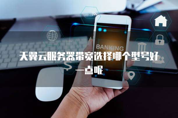 天翼云服务器带宽选择哪个型号好一点呢