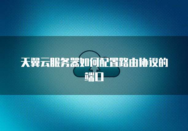天翼云服务器如何配置路由协议的端口