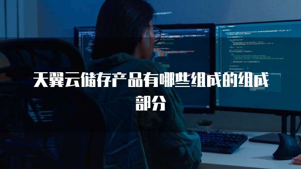 天翼云储存产品有哪些组成的组成部分