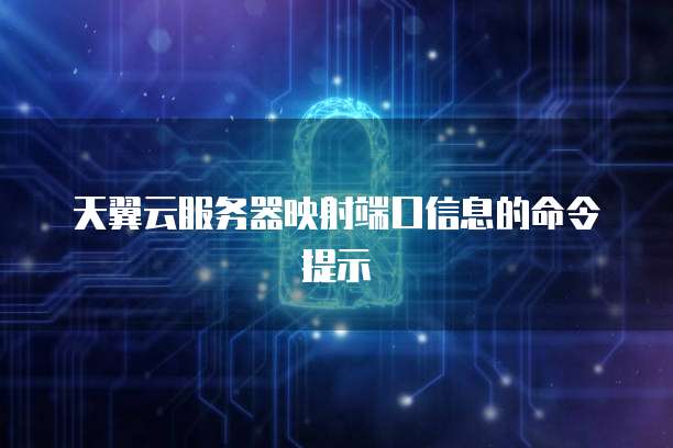 天翼云服务器映射端口信息的命令提示