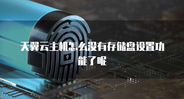 天翼云主机怎么没有存储盘设置功能了呢