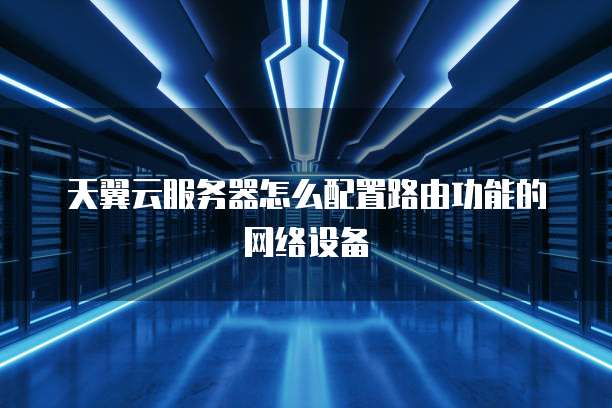 天翼云服务器怎么配置路由功能的网络设备
