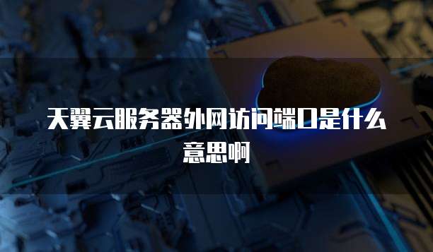 天翼云服务器外网访问端口是什么意思啊
