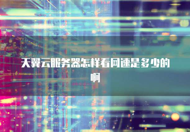 天翼云服务器怎样看网速是多少的啊