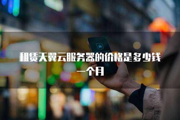 租赁天翼云服务器的价格是多少钱一个月