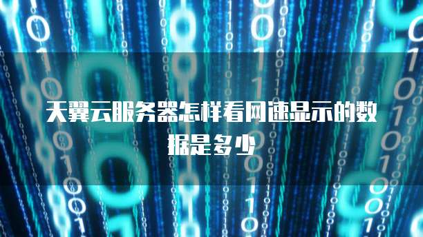 天翼云服务器怎样看网速显示的数据是多少