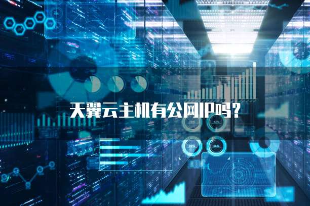 天翼云主机有公网IP吗？