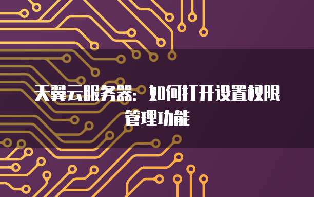 天翼云服务器：如何打开设置权限管理功能