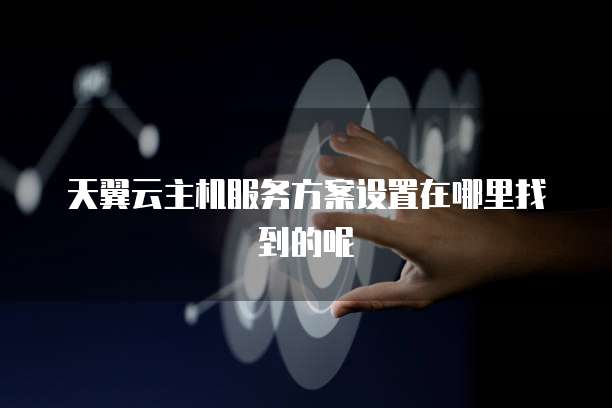 天翼云主机服务方案设置在哪里找到的呢