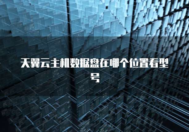 天翼云主机数据盘在哪个位置看型号