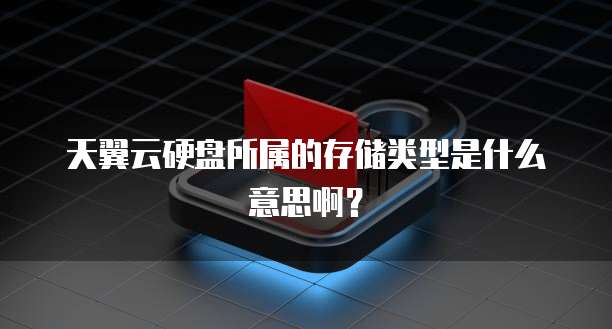 天翼云硬盘所属的存储类型是什么意思啊？