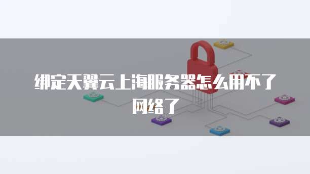 绑定天翼云上海服务器怎么用不了网络了