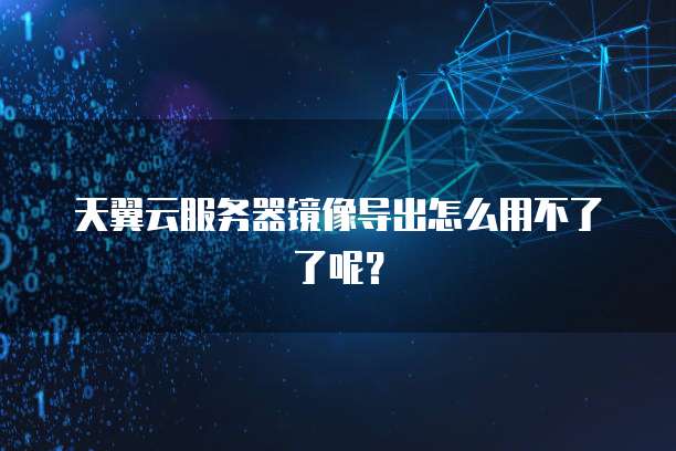 天翼云服务器镜像导出怎么用不了了呢？