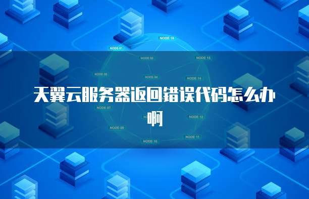 天翼云服务器返回错误代码怎么办啊