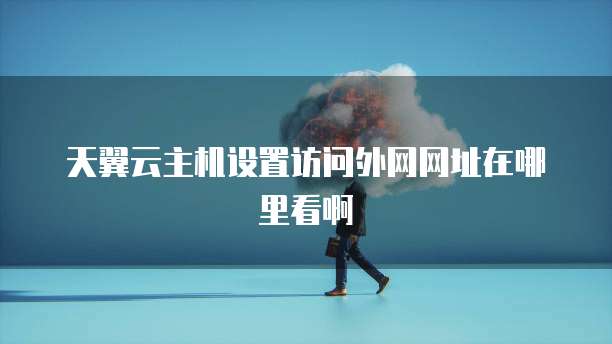 天翼云主机设置访问外网网址在哪里看啊