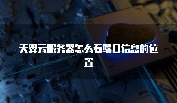 天翼云服务器怎么看端口信息的位置