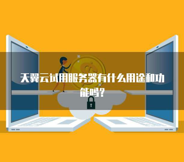 天翼云试用服务器有什么用途和功能吗？